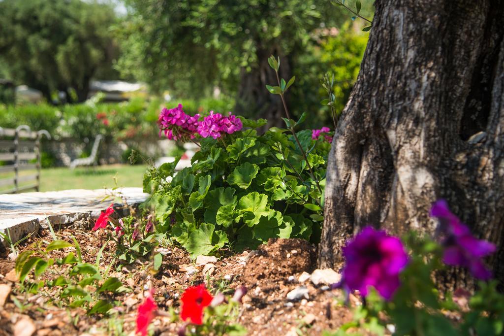 Krouzeri Beach Apartments Nisaki  Rom bilde