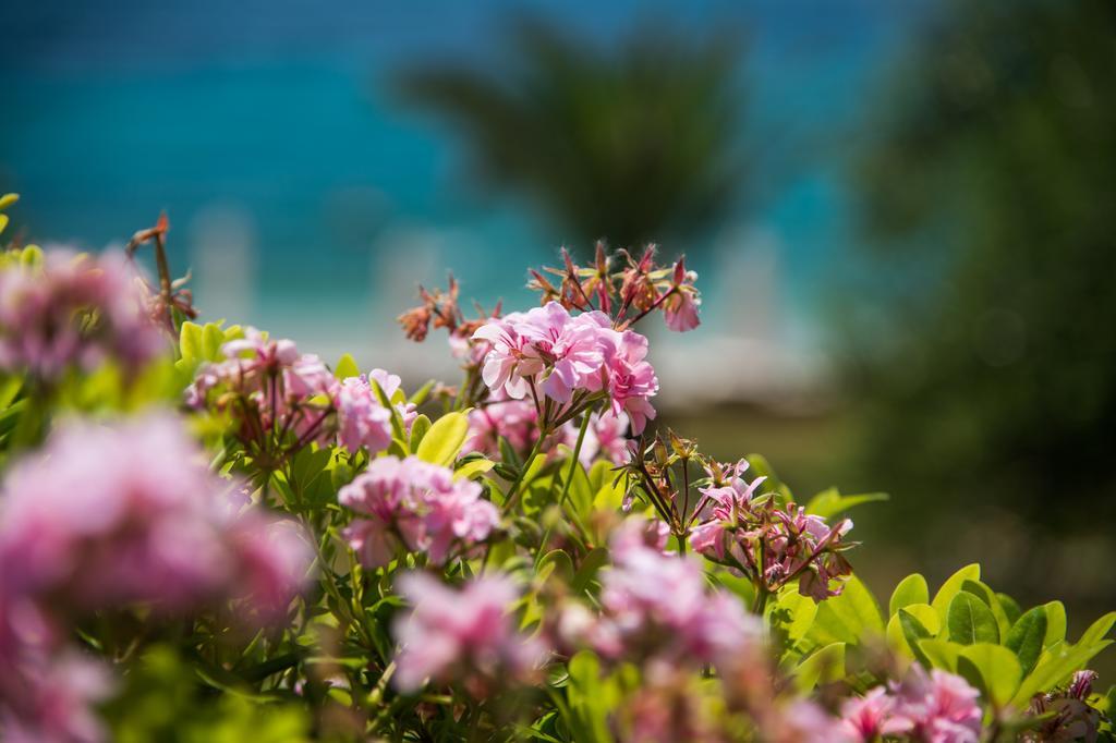Krouzeri Beach Apartments Nisaki  Rom bilde